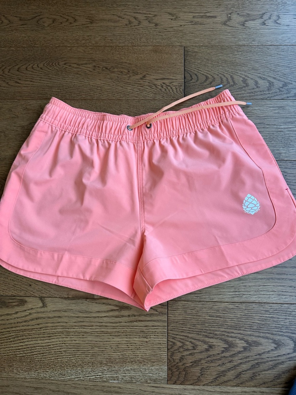 Stio board shorts
